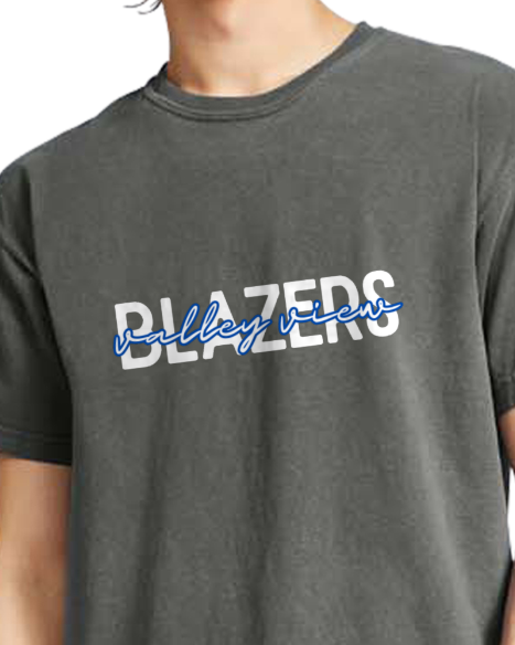 Blazers 1