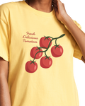 Fresh Delicious Tomatoes