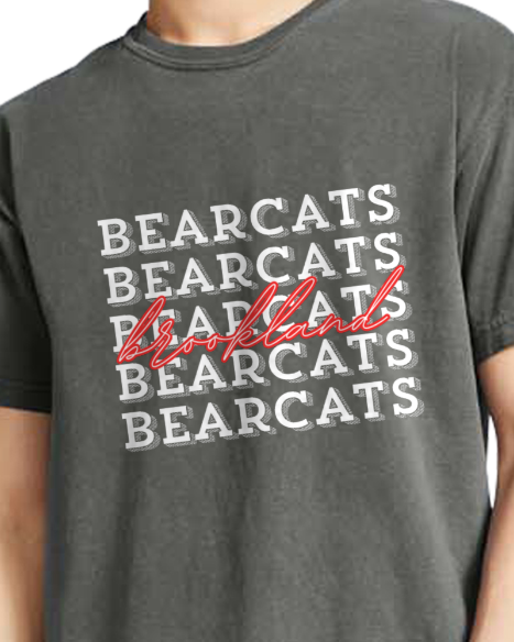 Bearcats 3