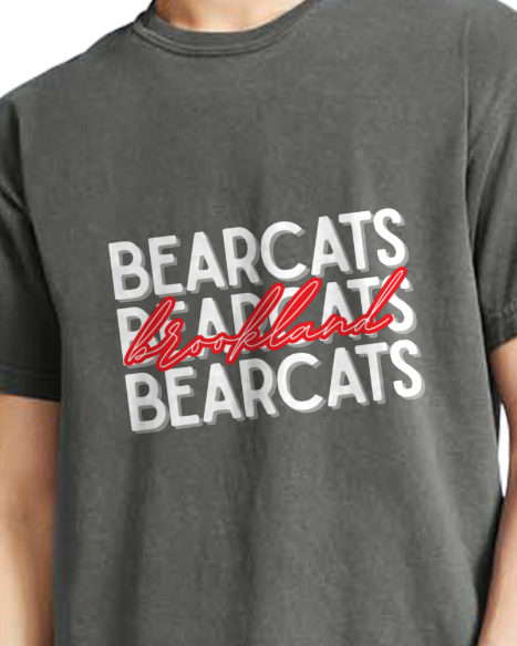 Bearcats 2