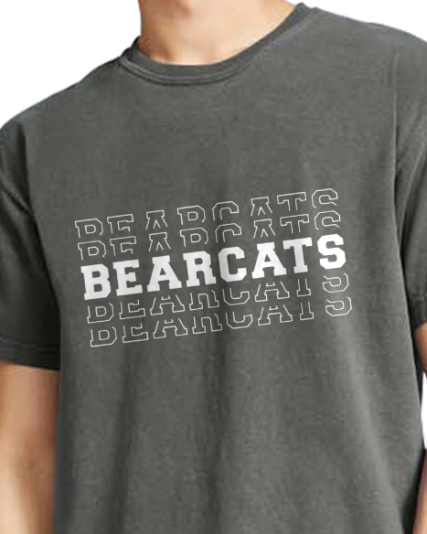 Bearcats 4