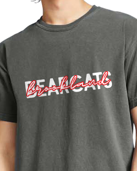 Bearcats 1